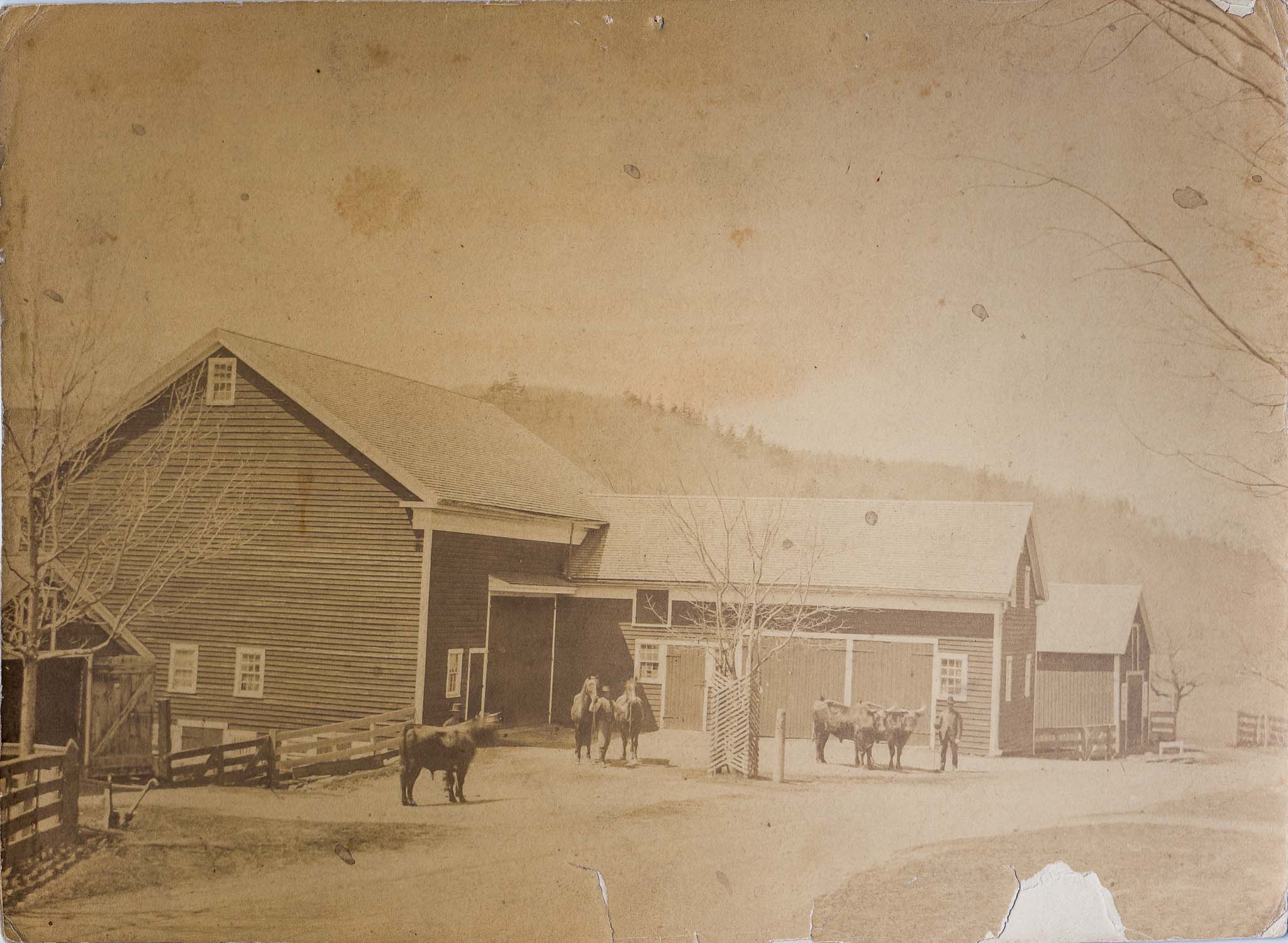 The Stewart Place barns